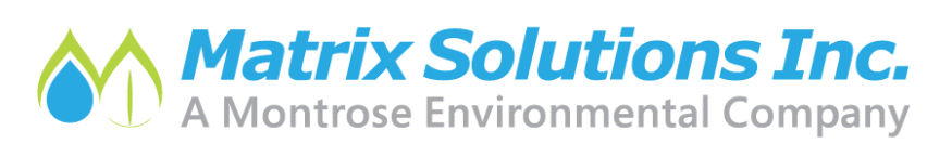 Matrix Solutions Logo_HORZ_Color